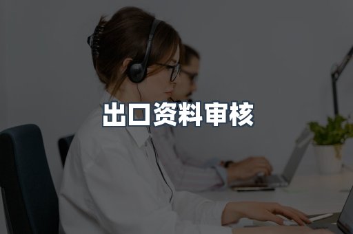 出口资料审核